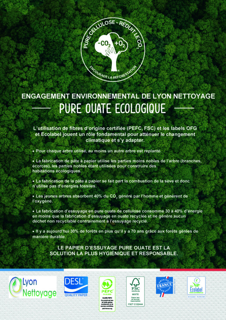 essui-main-ecologique-lyon-nettoyage